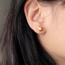 摺紙幸運星925耳環(金/霧金) Lucky Star 925 Earrings (Gold)