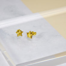 摺紙幸運星925耳環(金/霧金) Lucky Star 925 Earrings (Gold)